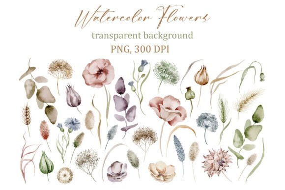 Download Delicate Watercolor Floral Elements, PNG - Delicate Collection