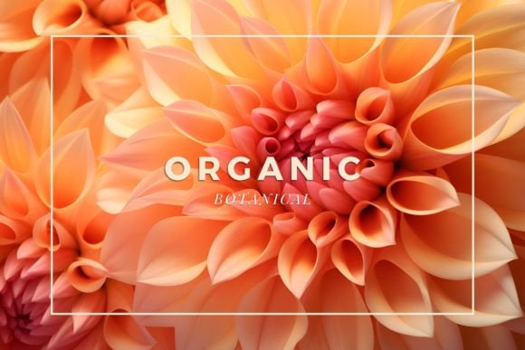 Download 12 Botanical Backgrounds - Botanical backgrounds Collection
