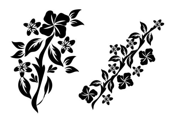 Download Various Different Floral Designs - Premium Resources